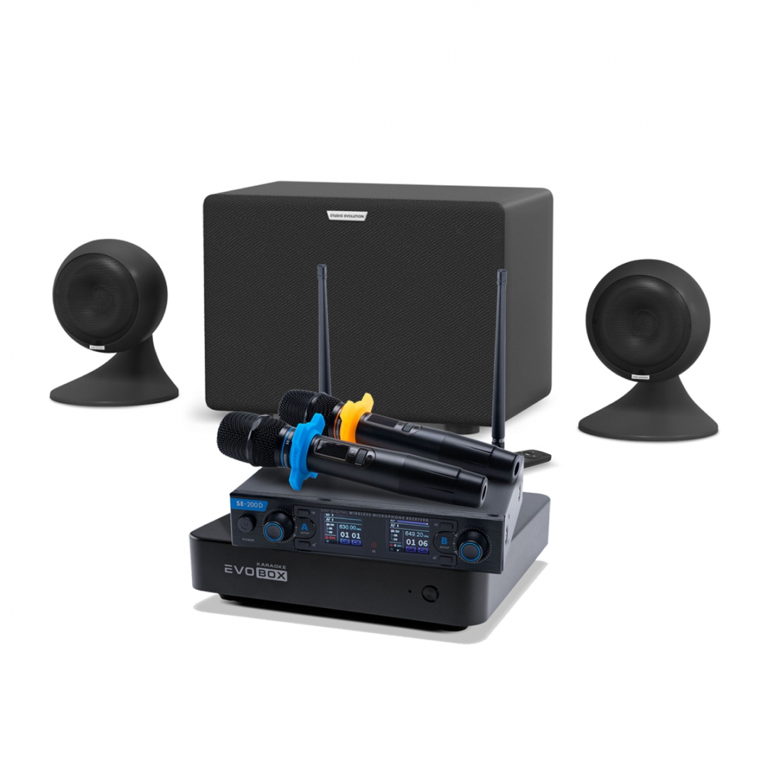караоке-комплект EVOBOX + EvoSound Sphere 2.1 в Полевской