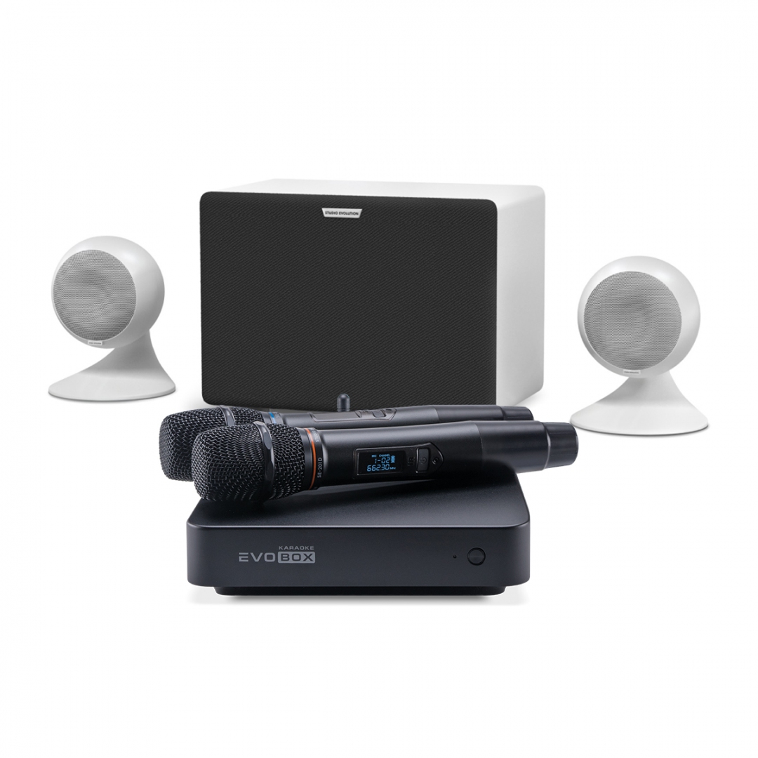 караоке-комплект EVOBOX Classic + EvoSound Sphere 2.1 в Полевской