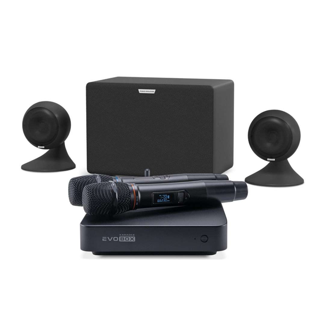караоке-комплект EVOBOX Plus + EvoSound Sphere 2.1 в Полевской
