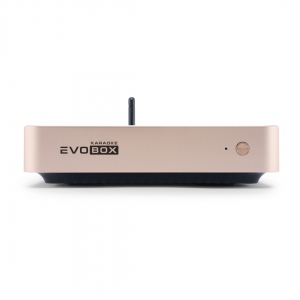 EVOBOX Plus караоке-система для дома в Полевской