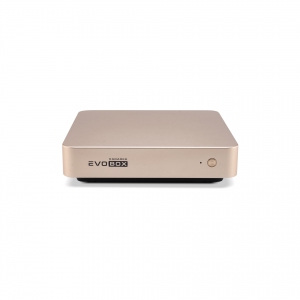 EVOBOX с микрофонами в Полевской